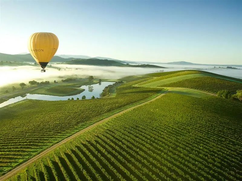 Rise above the Yarra Valley at sunrise on a silent, scenic hot air balloon flight