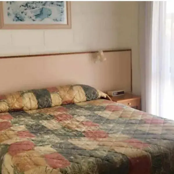 Black Swan Motel inn to Melbourne Airport premium and luxurious chauffeur service
