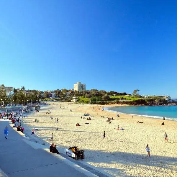 Dive Hotel to Sydney Airport (SYD) premium and luxurious chauffeur service